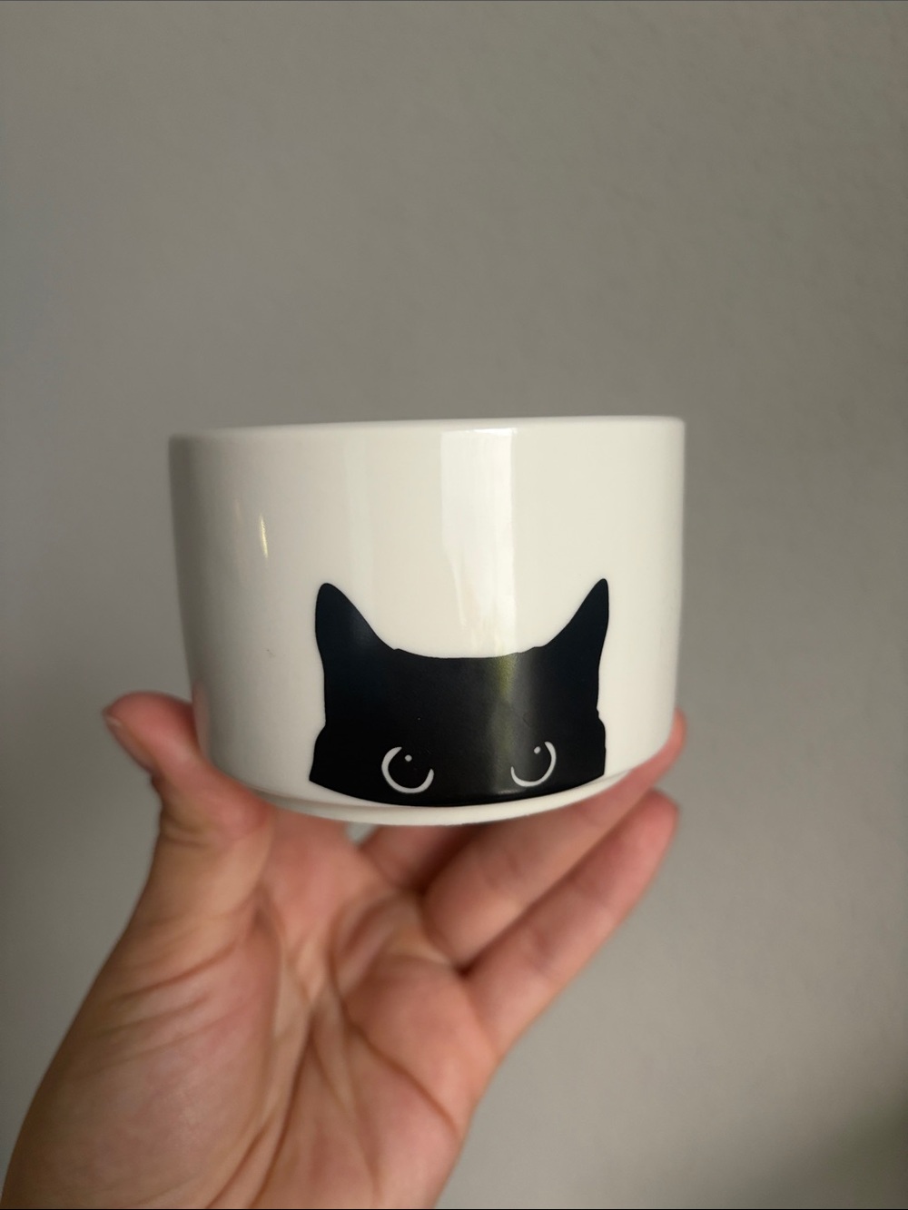 Ceramic 3” Kitty Planter NWOT